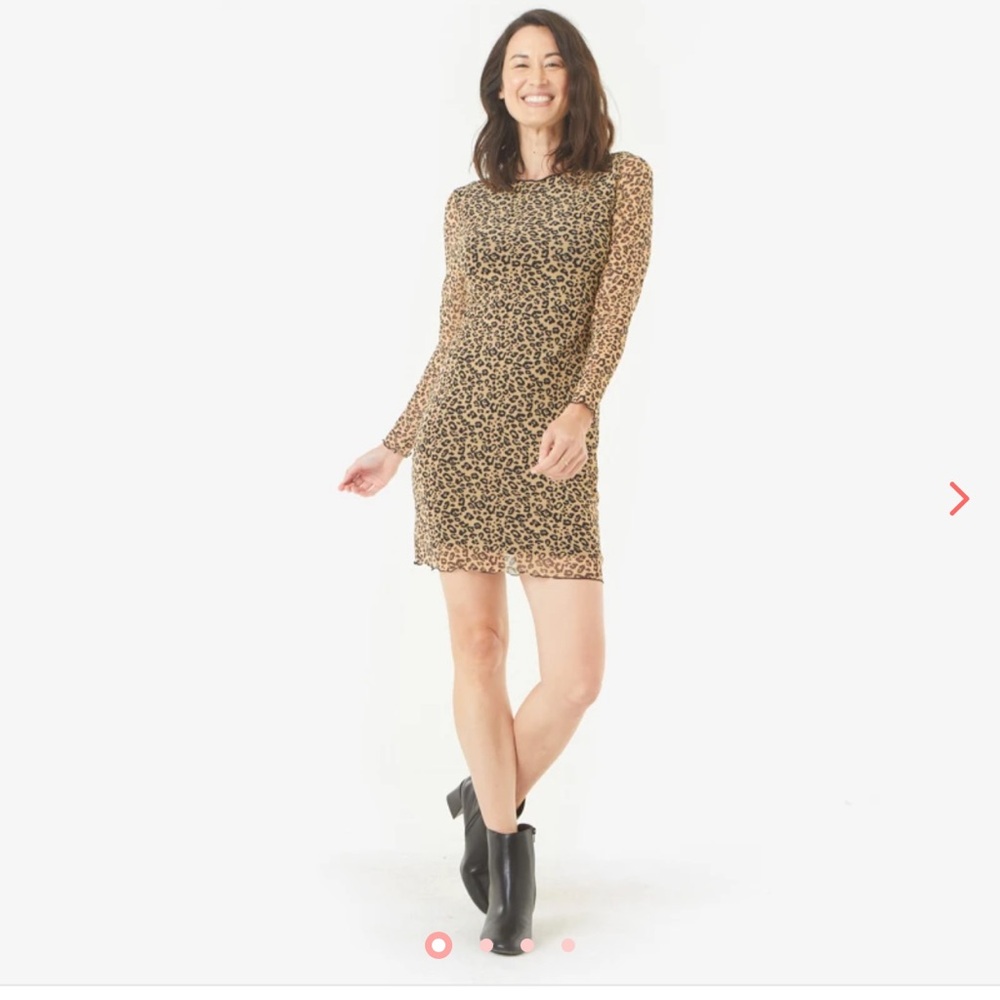 Socialite Animal Print Long Sleeve Mesh Dress